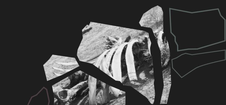 Winds of the Steppe, Walls of the Oasis: Czech and Foreign Researchers Present New Discoveries from Central Asia