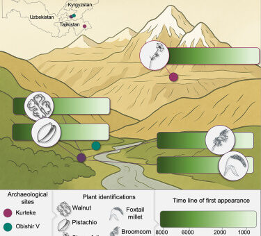 Review of Archaeobotanical investigations at high-elevation sites of the Pamir Mountains and Fergana foothills (Boxleitner et al., iScience 2026)